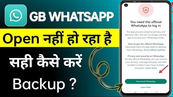 Creating a Minimalist GB WhatsApp Interface for Productivity Nerds 5